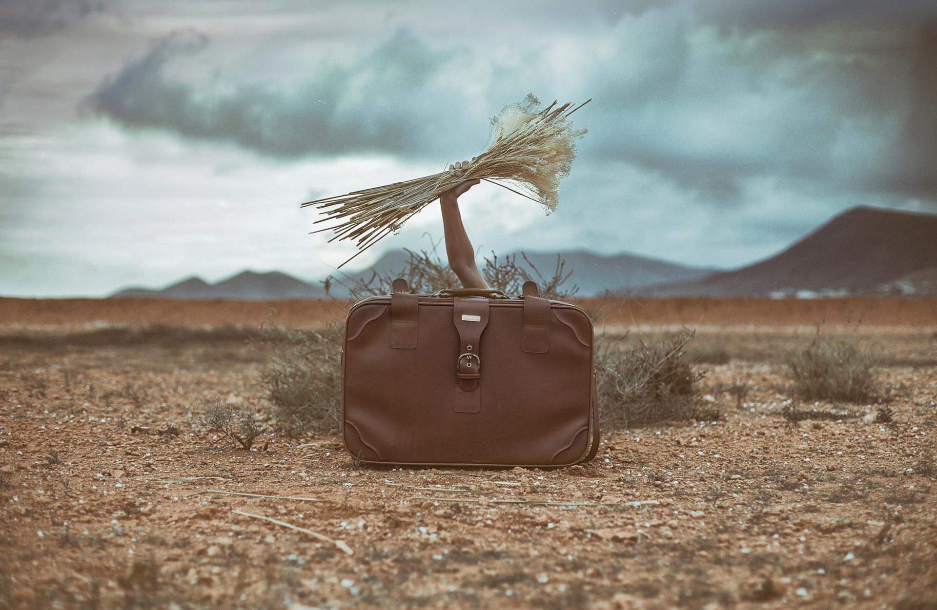 Lo Que Me Dolia Se Llama Desarraigo